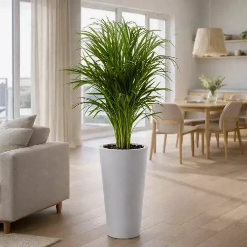 Donica PD CONCEPT VENUS Ø35x70 cm biały mat