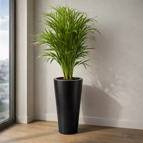 Donica PD CONCEPT VENUS Ø35x70 cm czarny mat