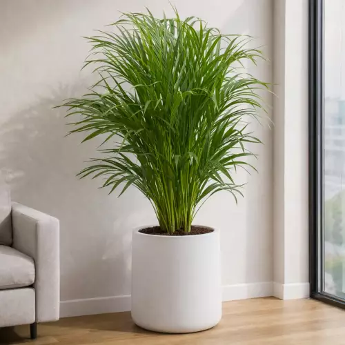 Donica z polietylenu ZOE PL-ZO50 biały