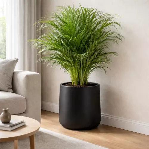 Donica PD CONCEPT ZOE Ø51x50 cm czarny mat