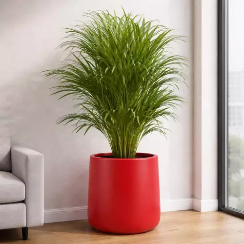 Donica PD CONCEPT ZOE Ø51x50 cm czerwony mat