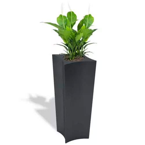 Antracytowa donica Doris z skrzydłokwiatem