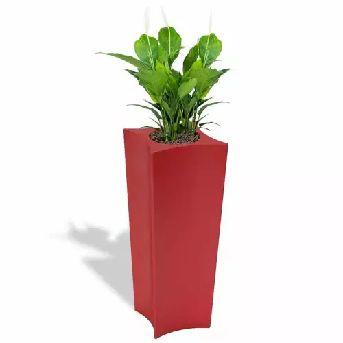 Czerwona donica Doris z skrzydłokwiatem