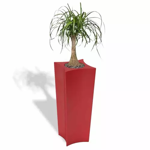 Czerwona donica Doris z noliną