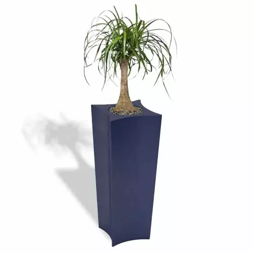 Niebieska donica Doris z noliną