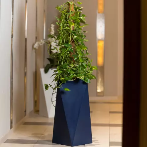 Antracytowa donica Eris w korytarzu