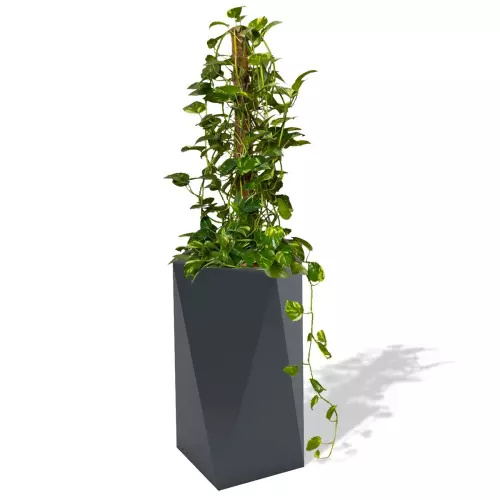 Antracytowa donica Eris z epipremnum