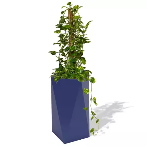 Niebieska donica Eris z epipremnum