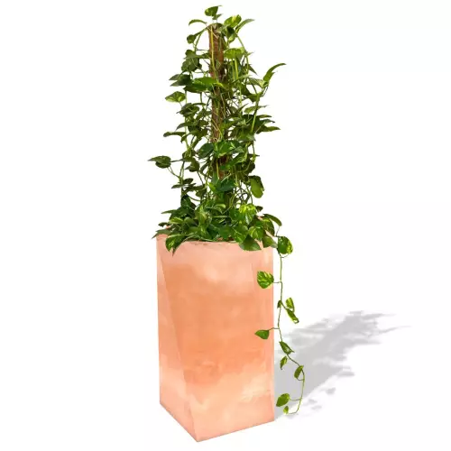 Terakotowa donica Eris z epipremnum