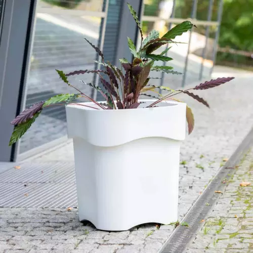 Biała donica Flora w aranżacji