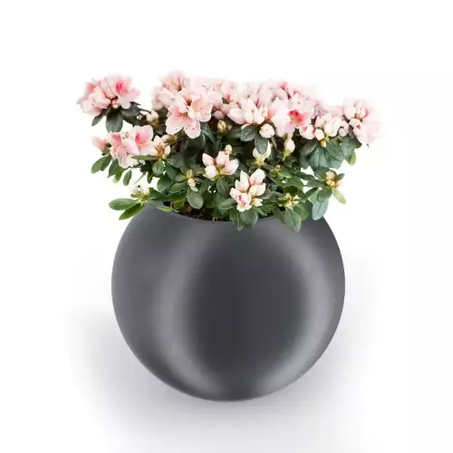 Antracytowa donica JUPITER 64