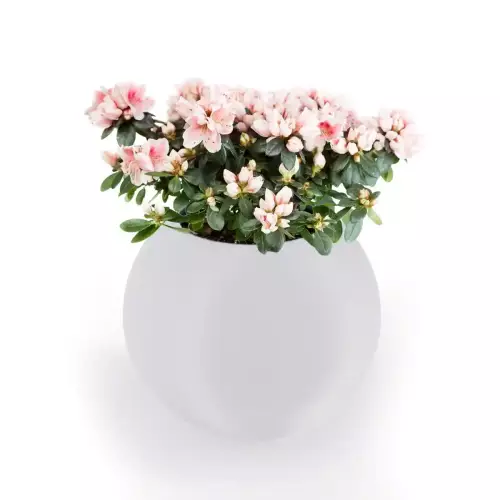 Biała donica JUPITER 64 Ø75x64 cm