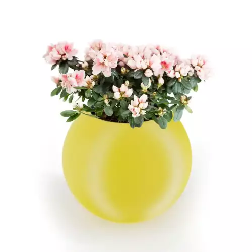 Żółta donica JUPITER 64 Ø75x64 cm