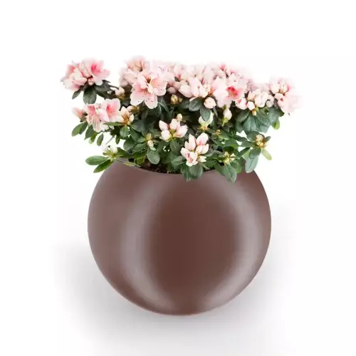 Brązowa donica JUPITER 64 Ø75x64 cm