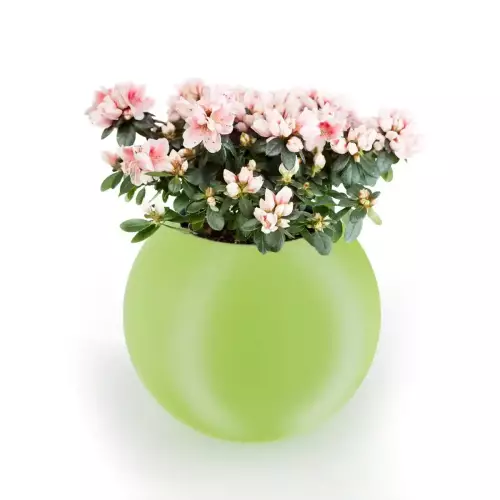 Zielona donica JUPITER 64 Ø75x64 cm