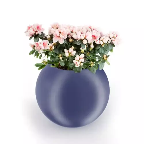 Niebieska donica JUPITER 64