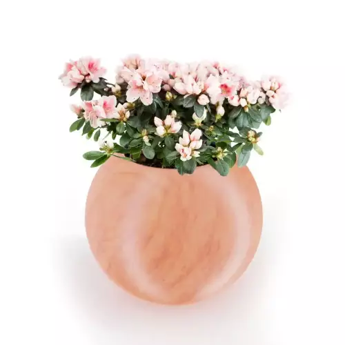 Donica JUPITER 64 w kolorze terakota Ø75x64 cm