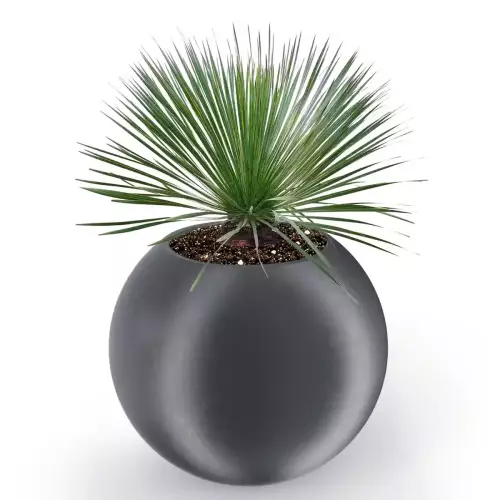 Antracytowa donica JUPITER 80