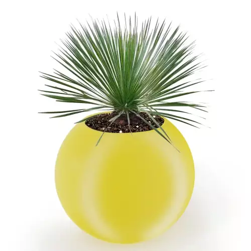 Żółta donica JUPITER 80 Ø95x80 cm