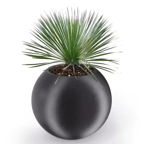 Czarna donica JUPITER 80 Ø95x80 cm