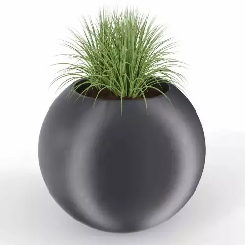 Turzyca w czarnej donicy JUPITER PL-JU80