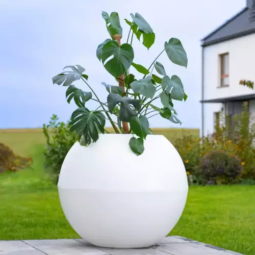 Biała donica JUPITER 80 w ogrodzie