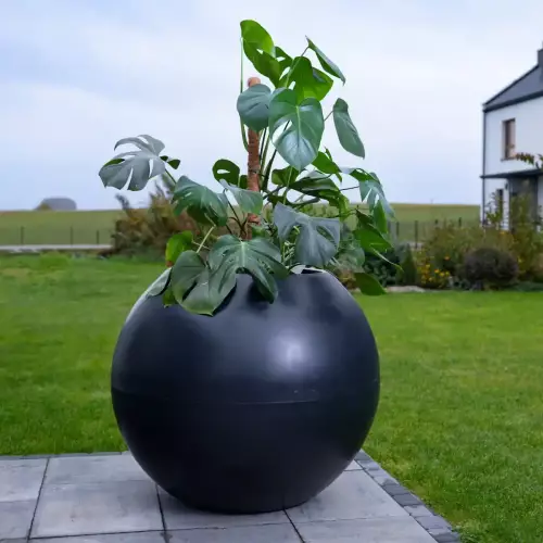 Czarna donica JUPITER PL-JU80 w ogrodzie