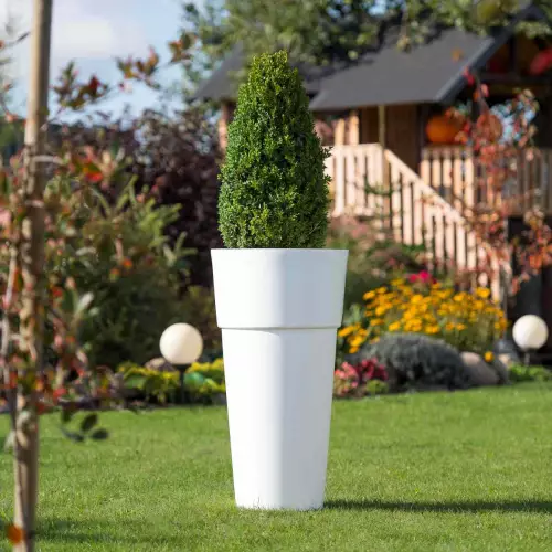 Biała donica Kari z bukszpanem w ogrodzie