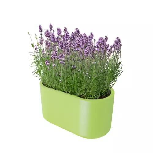 Donica LETO 42 kolor limonka z lawendą