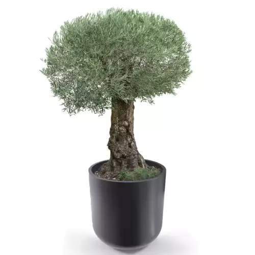 Antracytowa donicy LUNA 80