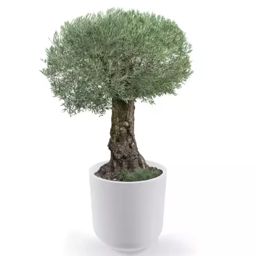 Biała donica LUNA 80 Ø76x80 cm