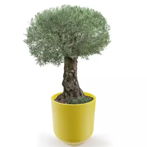 Żółta donica LUNA 80 Ø76x80 cm