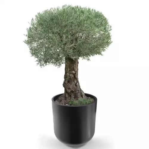 Czarna donica LUNA 80 Ø76x80 cm