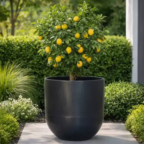 Czarna donica LUNA PL-LU80 w ogrodzie