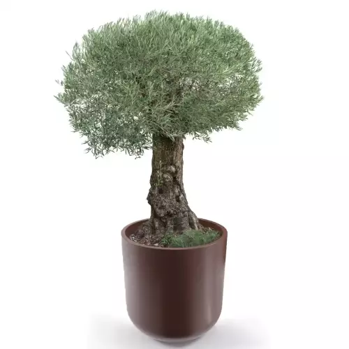 Brązowa donica LUNA 80 Ø76x80 cm