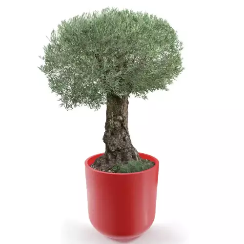 Czerwona donica LUNA 80 Ø76x80 cm