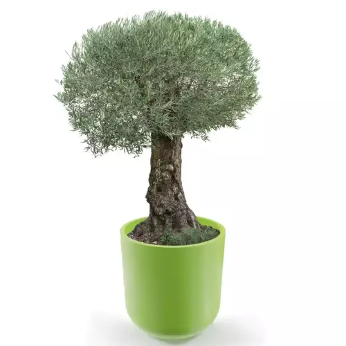 Zielona donica LUNA 80 Ø76x80 cm