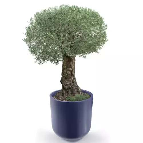 Niebieska donica LUNA 80 Ø76x80 cm