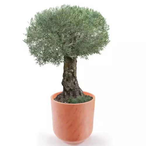 Donica LUNA 80 w kolorze terakota Ø76x80 cm