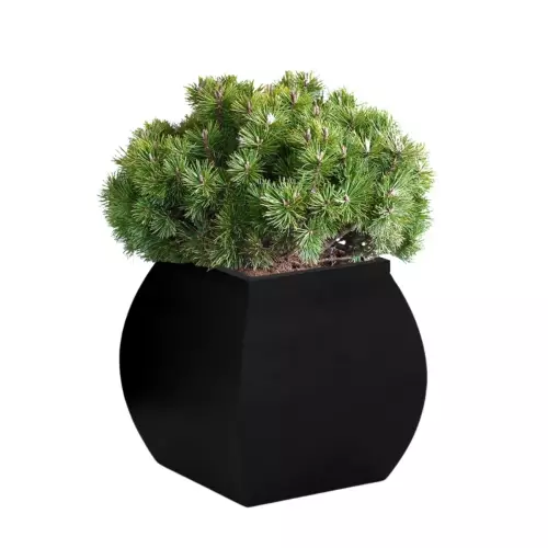 Czarna donica MARS 51