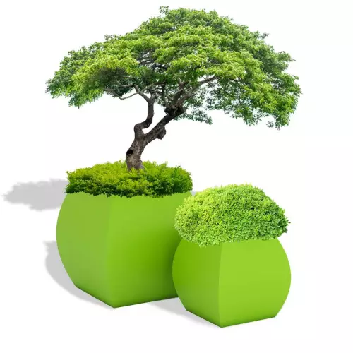 Limonkowe donice Mars 70 z bukszpanem i Mars 100 z bonsai