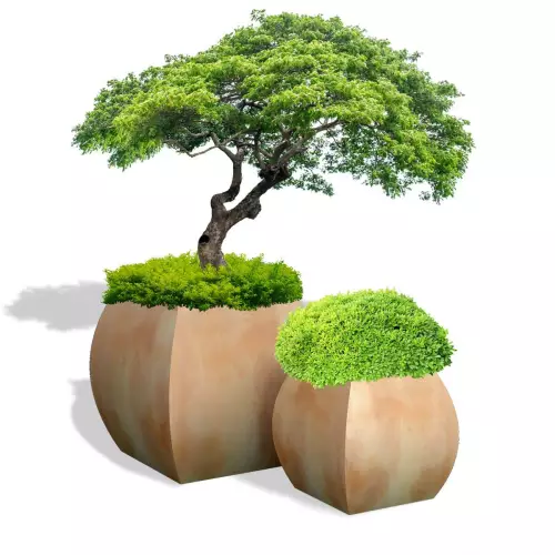 Terakotowe donice Mars 70 z bukszpanem i Mars 100 z bonsai