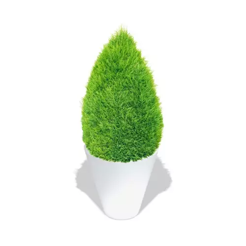 Biała donica Mercury z cisem