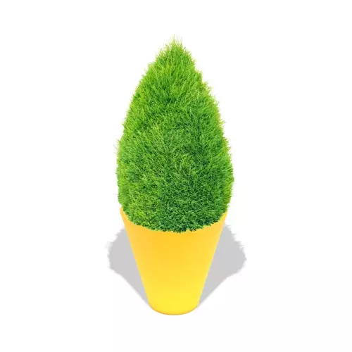 Cytrynowa donica Mercury z cisem