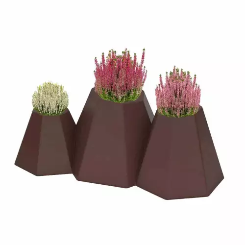 Czekoladowa donica Mont z wrzosami