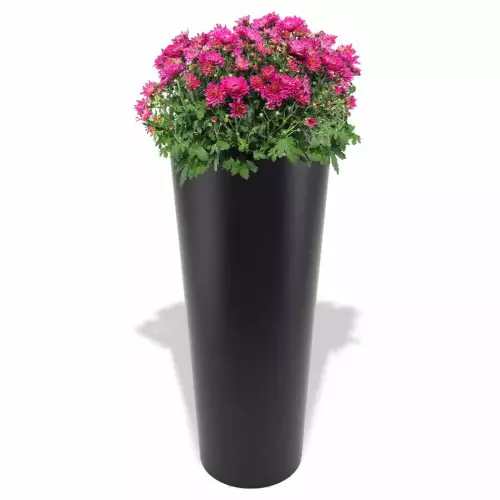 Czarna donica Neptun z chryzantemami