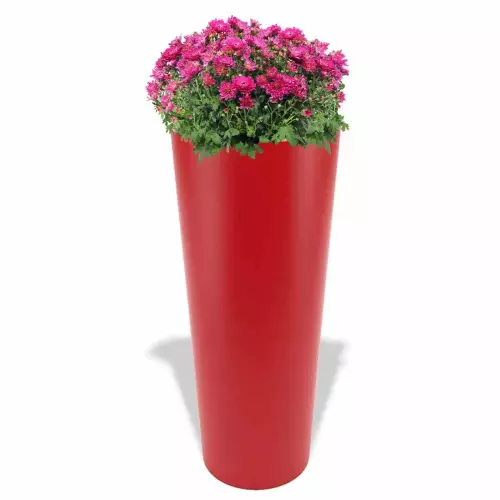 Czerwona donica Neptun z chryzantemami