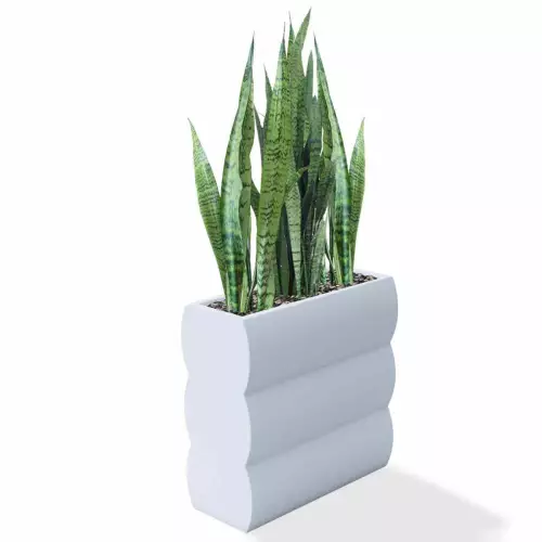 Biała donica Nyx z sansewierią