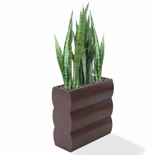 Czekoladowa donica Nyx z sansewierią