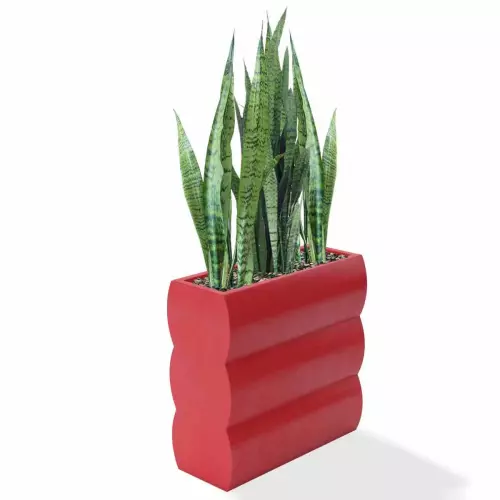 Czerwona donica Nyx z sansewierią